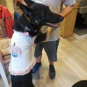 Meet your Posher, Crystal